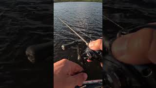 Catching Crappies On A BAITCASTER