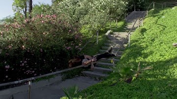 F33t - Rob Guerrero Video Ender Frontside Grind