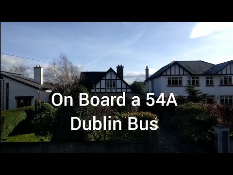 On Board a