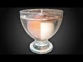 What happens to an egg in vinegar for 24 hours - Time Lapse [April fools' joke]