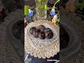 Mini Choco Lava Cake🤎(No oven)#chocolavacake#chocolate #nooven#trending#cooking#recipe#shorts#viral
