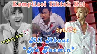 Kompilasi Tiktok Nct Na Jaemin 🐰 [part.23]