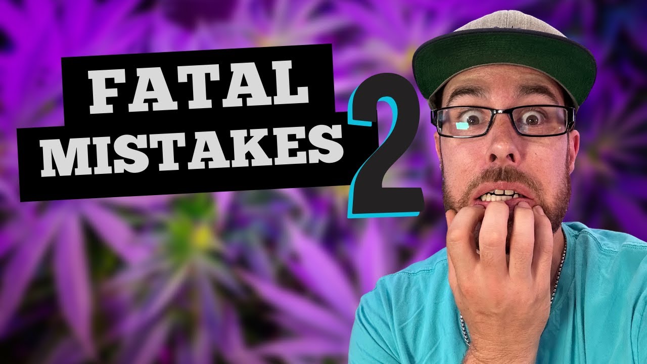 РАСТУЩИЕ ОШИБКИ, КОТОРЫЕ ДЕЛАЮТ ВСЕ. ЧАСТЬ 2