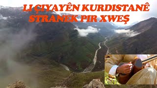 Stranek Pir Xweş Bi Zaravayê Hewramî ...