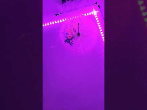Pink Kawaii Room