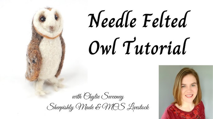 Needle Felted Owls : 6 Steps (with Pictures) - Instructables