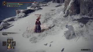 Elden Ring Whip build!! Part 16! Morgot is finished.