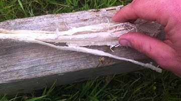 Working the Sinew:Part 2