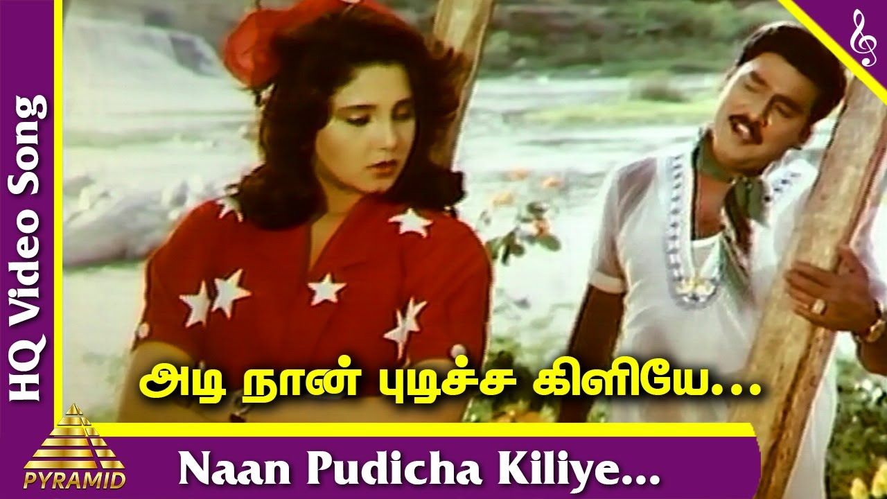 Naan Pudicha Kiliye Video Song  Rasukutty Tamil Movie Songs  K Bhagyaraj  Aishwarya  Ilayaraja