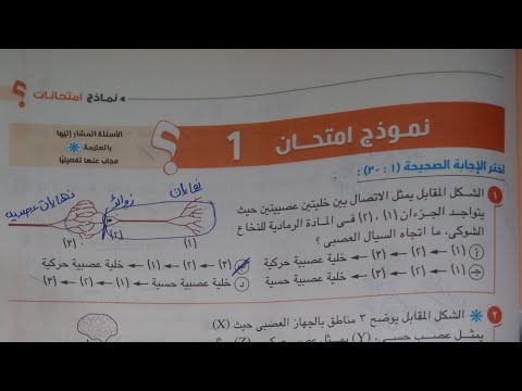 حل نموذج امتحان  من الإختبارات العامة أحياء للصف الثاني الثانوي من كتاب الامتحان  الترم الثاني