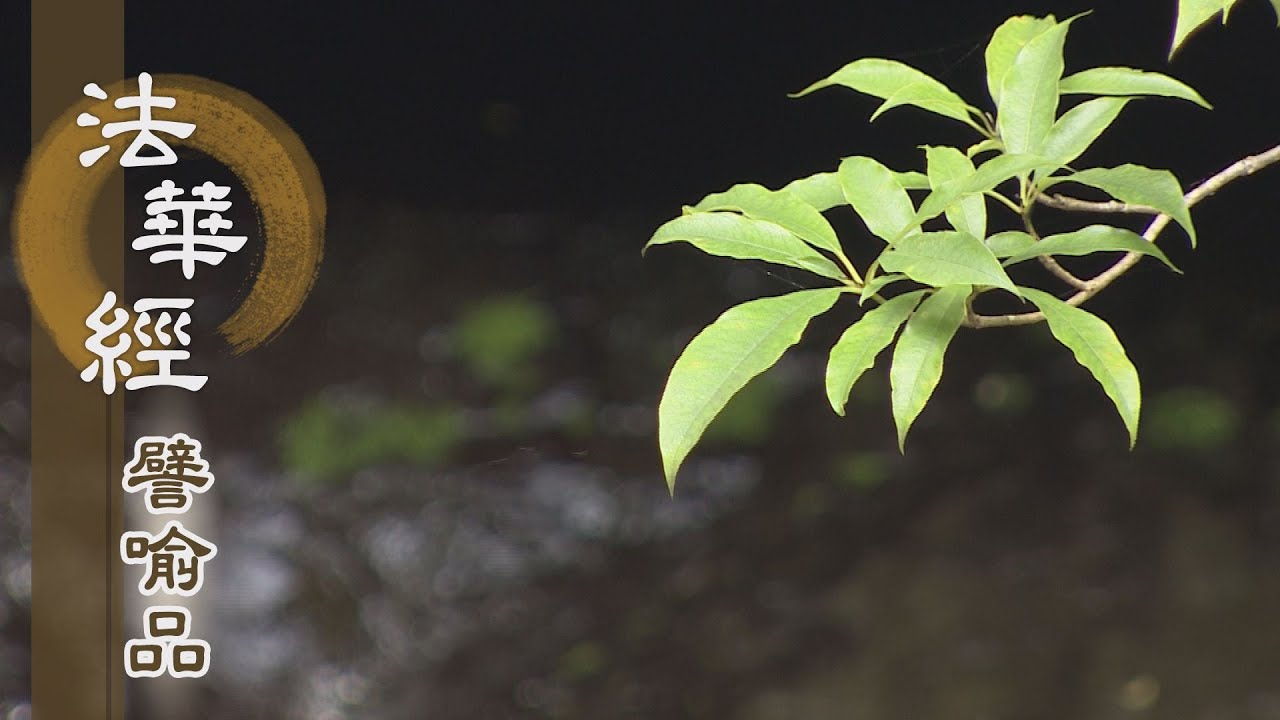 靜思妙蓮華 法華經譬喻品 權實雙運 0925 第4集 Youtube