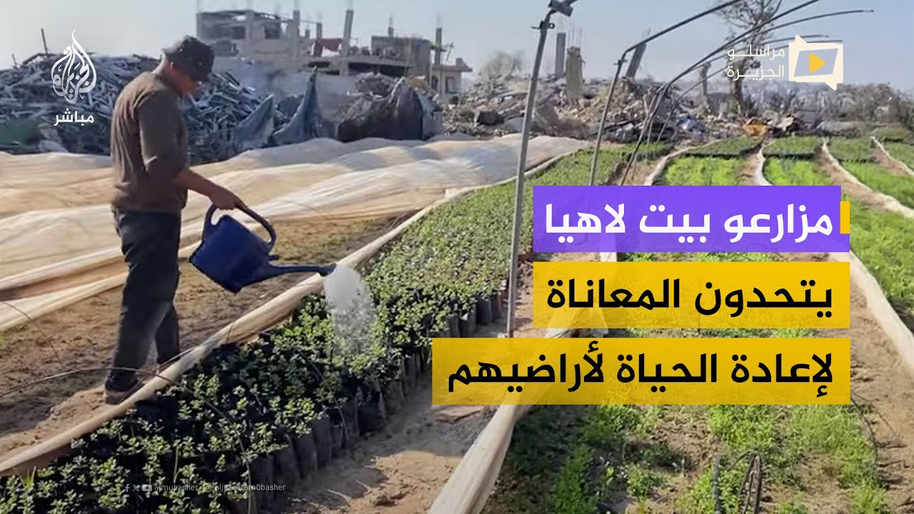 "الأمن الغذائي في خطر".. تدمير 100% من المنشآت الزراعية في بيت لاهيا