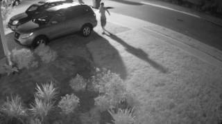 Destin Vehicle Burglaries 07/19/2016