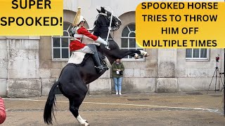 KING’S GUARD STUNS WITH AMAZING HORSEMANSHIP SKILKS.