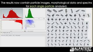 Characterization of Generic Nasal Spray suspension drugs