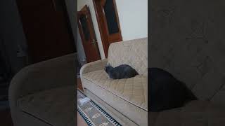 Yildizlari Arada Barismiyo Biri Belgesel Izler Biride Kapi Onunde Bekler