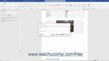 Word 2019 and 365 Tutorial Finding and Replacing Text Microsoft Training