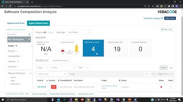 Reviewing Agent-based Scan Results using the Veracode Web Interface