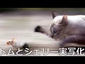 【衝撃】殿堂入りボケてがツッコミどころ満載だったwww79【ツッコミ】