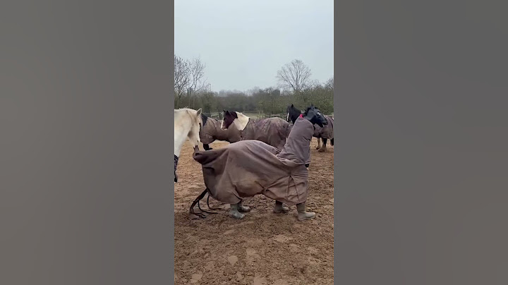 Fake horse tries to blend in #shorts