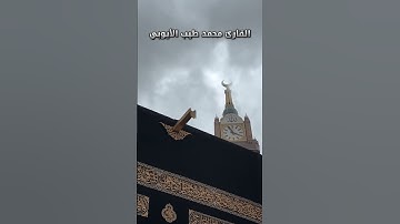 القارئ محمد طيب الأيوبي #آيات من #سورة_القلم (51-52)