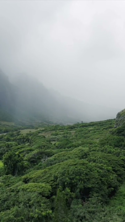 Tafakur Alam #videoshorts