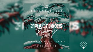 Vintage Culture Vs Galantis - Fractions X Runaway [Mysteriouxx Mashup edit]