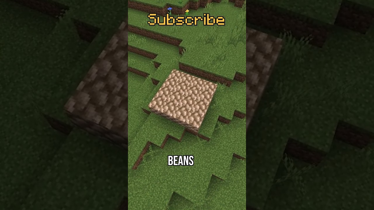 The BEANIEST BLOCK in Minecraft 