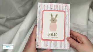 Baby Milestone Junk Journal - Starter book