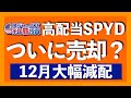 丸2年のトータルリターン+12.5%のSPYDが大幅減配で売却を検討しました【米国株投資】2021.12.23
