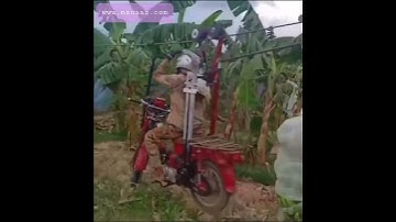 Sáng tạo cách thu hoạch và vận chuyển chuối trong cánh đồng lớn #Short