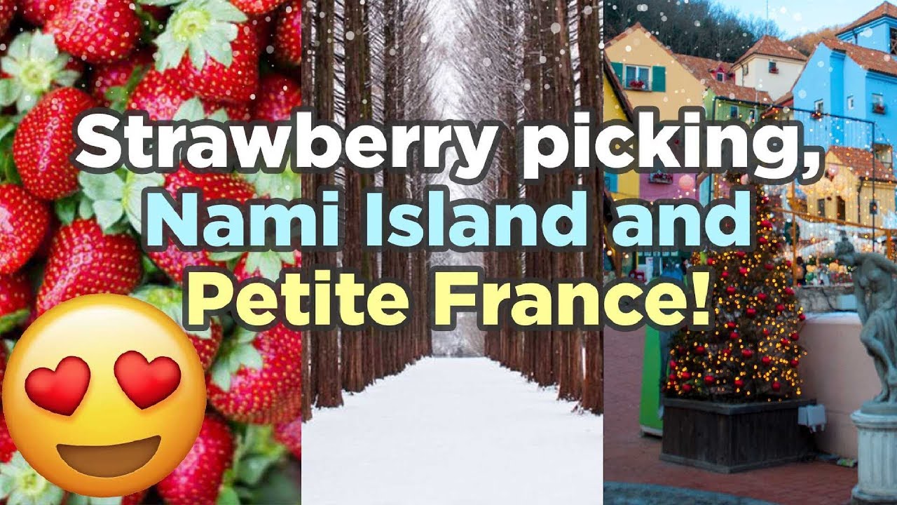 Winter vacation idea Strawberry Farm, Nami Island, and Petite France