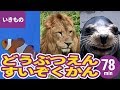 動物・いきものまとめ［3］動物園・水族館の人気者と珍しい生き物〈79min〉