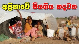 අපරකව මයගය හදවත