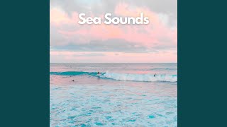Coastal Contemplation (Ocean and Sea Sounds for Relaxation)