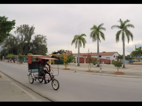 Vídeo: Reseña Del Libro: Caminando A Guantánamo - Matador Network