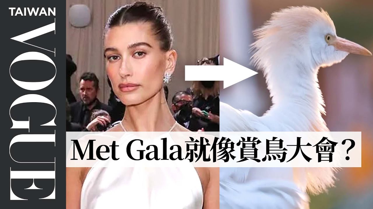 羽毛造型重返時尚界！專家盤點紅毯上的羽毛造型Biologist Explains the Unexpected Origins of Feathers in Fashion｜Vogue Taiwan