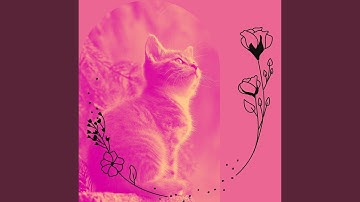 Background for Lazy Cat Days