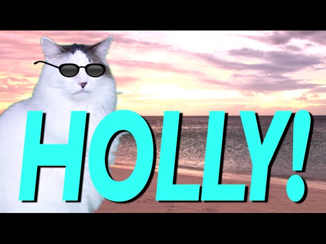 Happy Birthday Holly Epic Cat Happy Birthday Song Youtube - happy birthday holly roblox