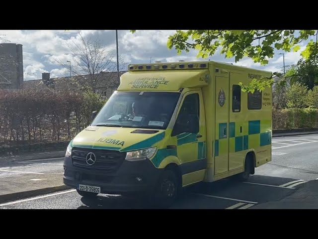 Programming Language Speed Compilation C Golang Rust - YouTube Auto PHP Script