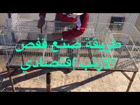 فيديو: كيفية صنع قفص أرنب