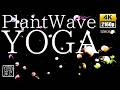 Plant🌱Music & Neon🌈Color UFO shape Jellyfish will take you to Deep Meditatation. 12Hours /4K Video