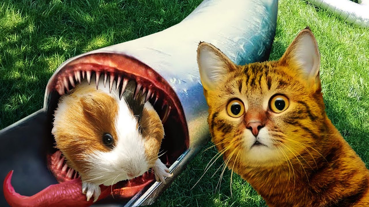 ПОЗНАВАТЕЛЬ БУЗЯ ЧЕЛЛЕНДЖ. Сборник. SCP горка пожиратель в Реальной Жизни. Снял Хаги Ваги на КАМЕРУ