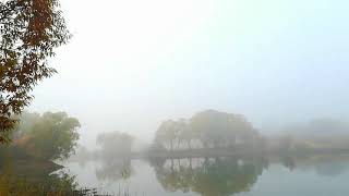 Осень. Утро. Туман над озером...