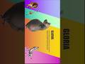 Animated PowerPoint Team Intro Presentation. #powerpoint #presentation #tutorial #ppt