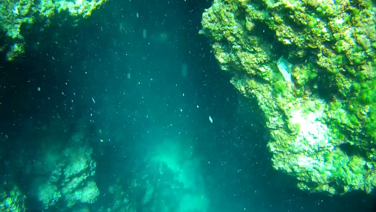 Diving in Montenegro. Caves. Mermaid hole - YouTube