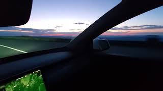 Tesla self drive avoids deer