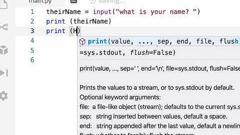 basic python user input and string format