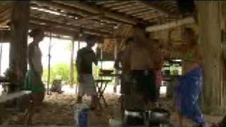 pangkil island Insead