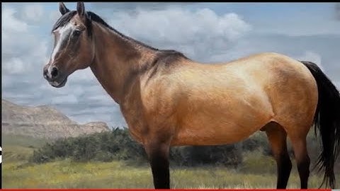 Vẽ tranh ngựa 3D đẹp